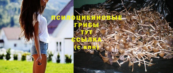 героин Бородино