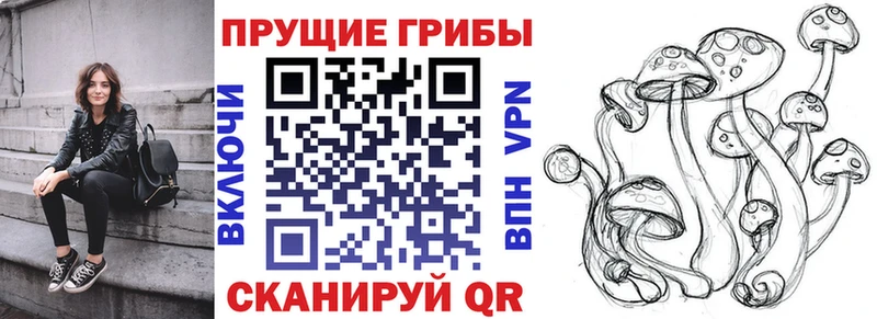 Псилоцибиновые грибы мицелий  Новое Девяткино 
